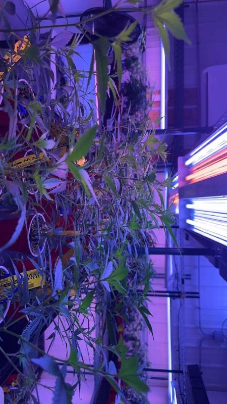 HOOKUP SEX AND SELL DRUGS 😍😍💯💯